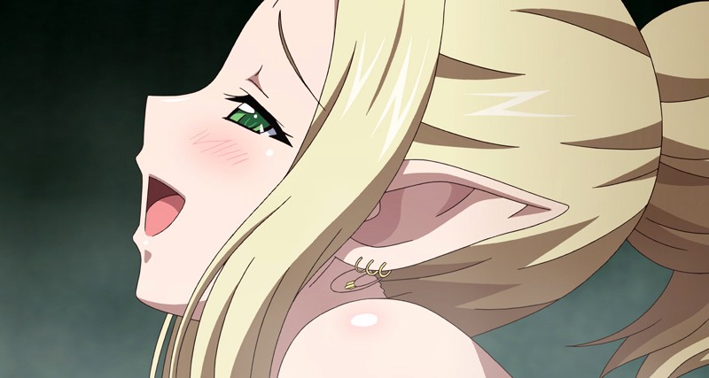 「【不明女優】清楚な姫が堕ちる辱めプレイ｜黒獣シリーズの衝撃展開を徹底解説【アニメ】」のサンプル画像14枚目