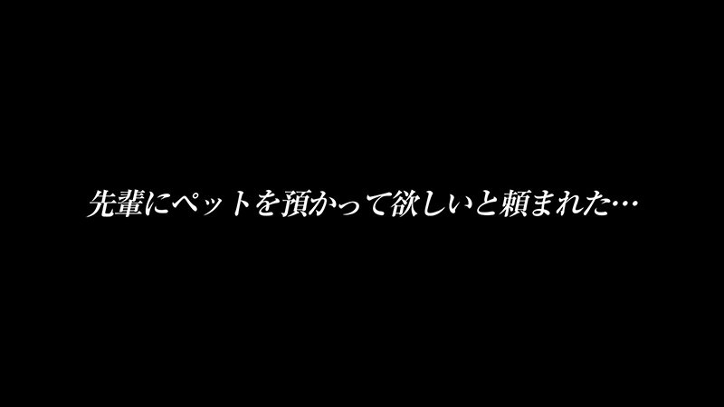 「日泉舞香 パイパン美少女M女が潮吹き中出しで乱れる!無口な彼女との同居生活」のサムネイル